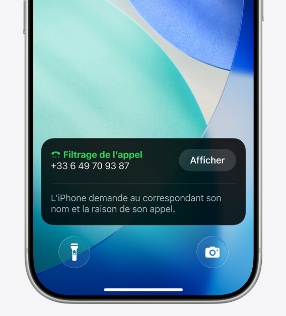 capture d’écran 2025 12 17 171120